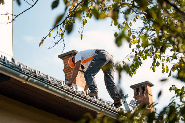 Best Local Roofing Companies  in Gillett, WI