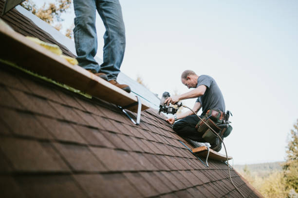 Best Roof Repair Services  in Gillett, WI